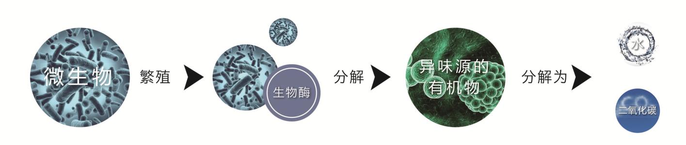  生物酶除甲醛管用吗？多久可以入住？