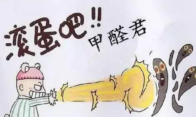 办公室或家中刚装修,适合放在室内除甲醛的植物 办公室或家中刚装修,适合放在室内除甲醛的植物