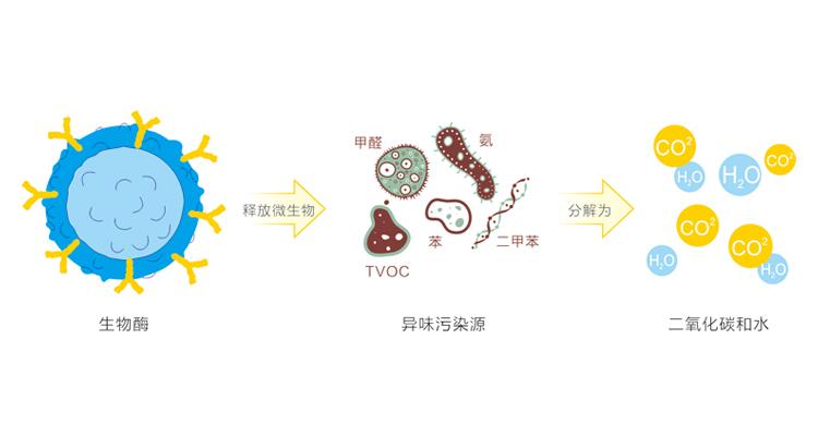 光触媒除甲醛和生物酶除甲醛的区别