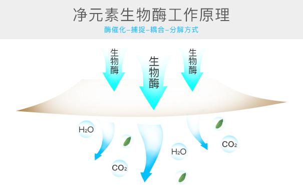 光触媒除甲醛